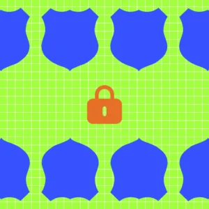 Data Privacy & Compliance for Professionals